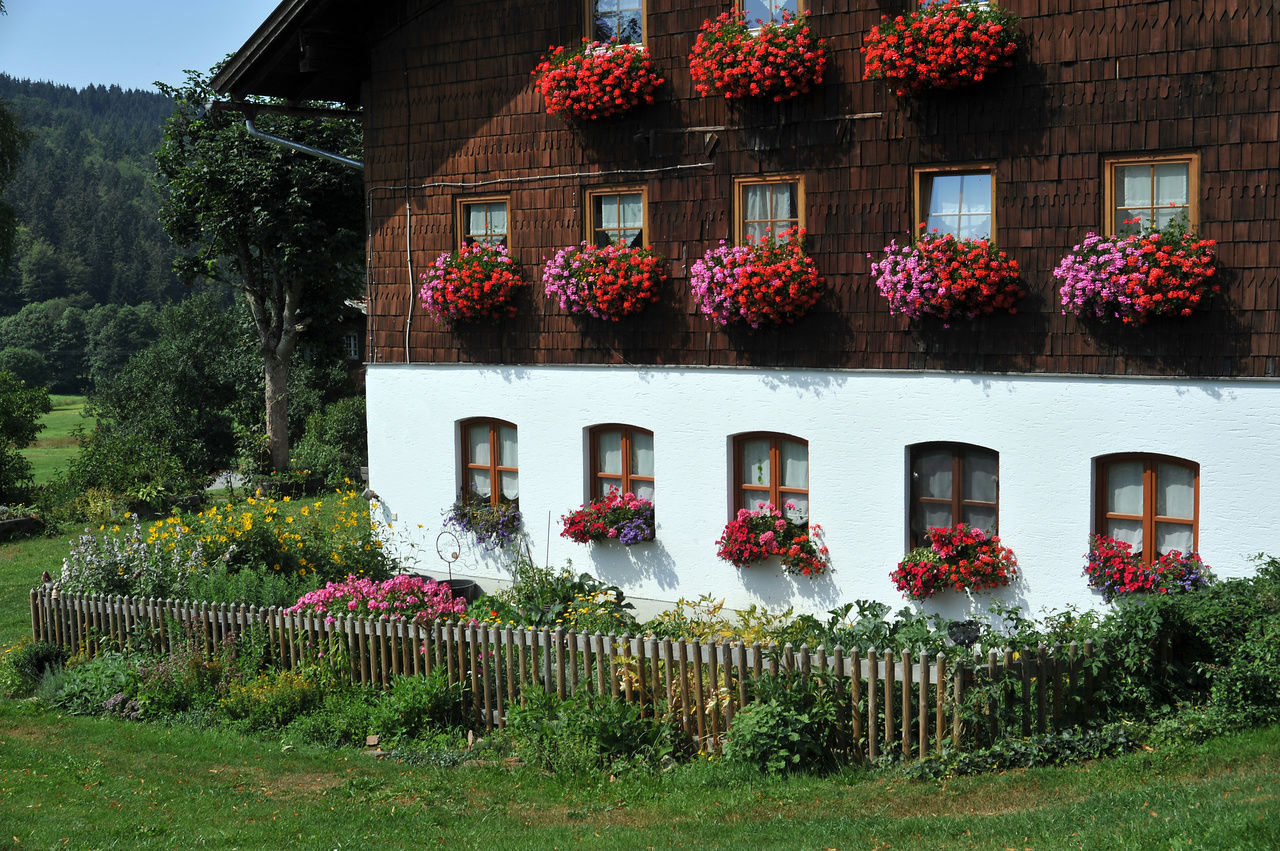 Bauernhofurlaub St. Englmar Urlaub Auf Dem Bauernhof Bayerischer Wald ...